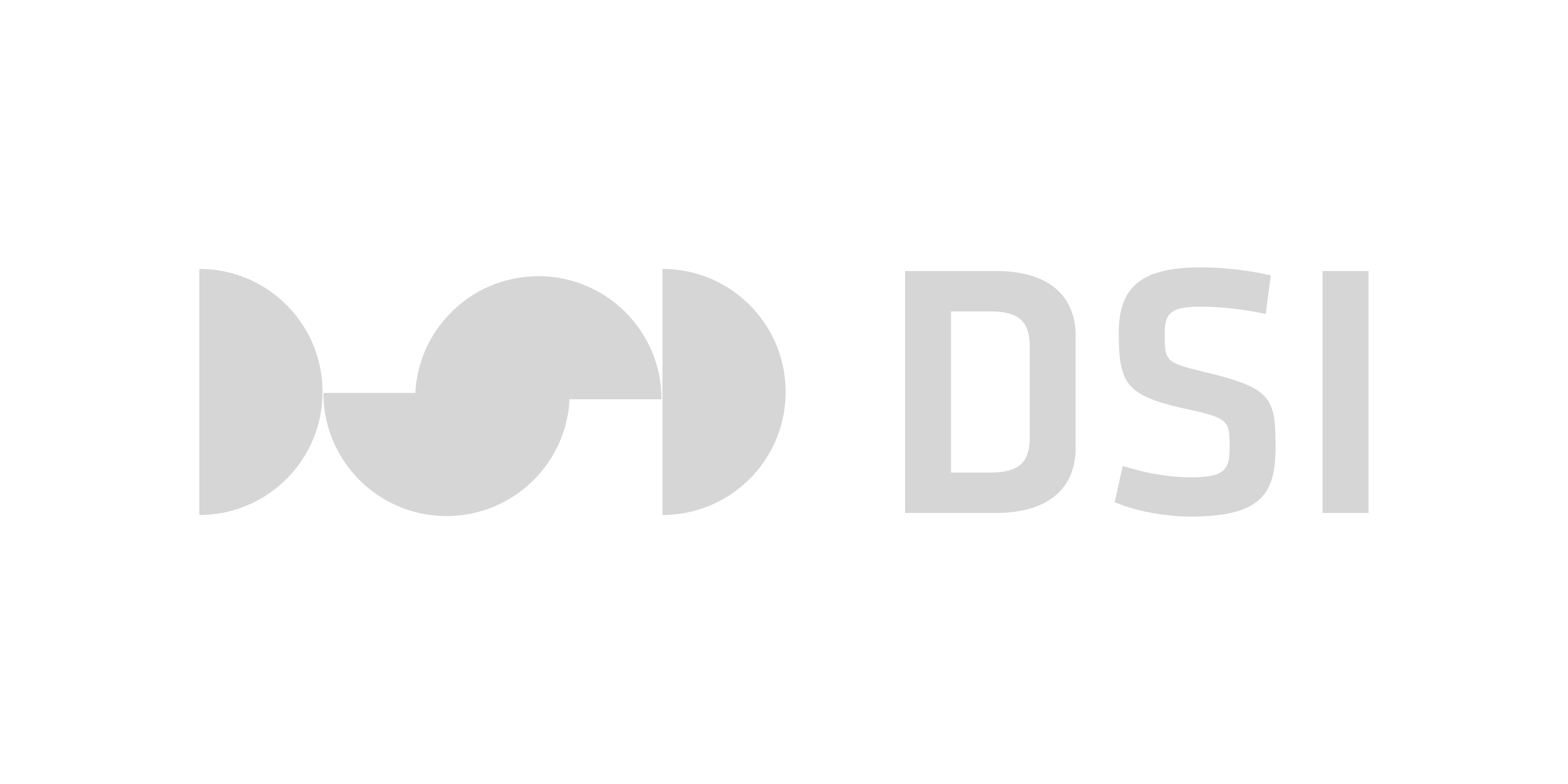 DSI Logo